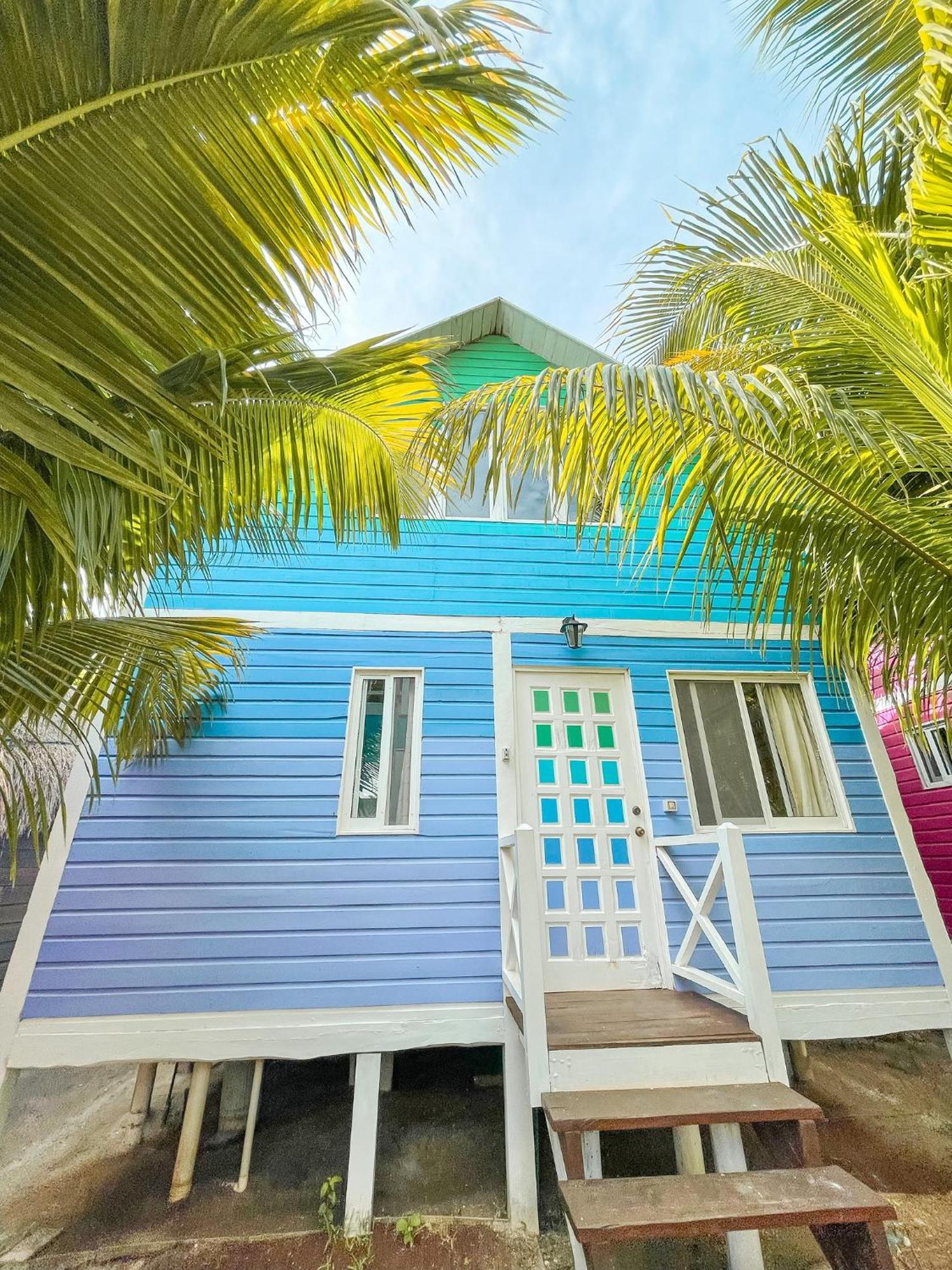 Whyknot Holbox Bed and Breakfast Exteriör bild