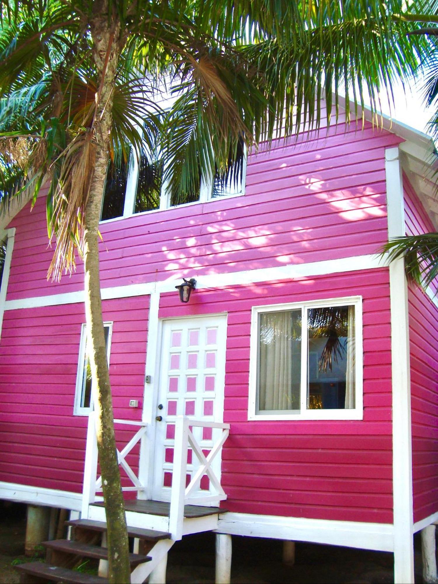 Whyknot Holbox Bed and Breakfast Exteriör bild